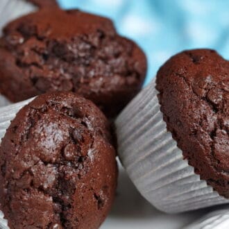 chocolate muffins fresh