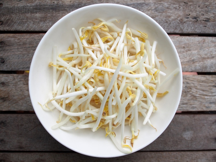 How to make bean sprouts